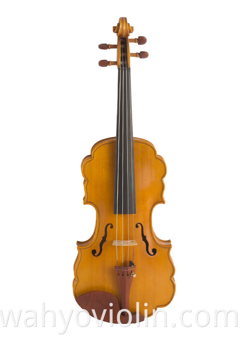 Jujube Parts Laciness Violin